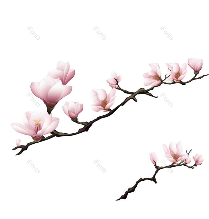 复古图片,文艺元素,户外PNG,传统免抠素材